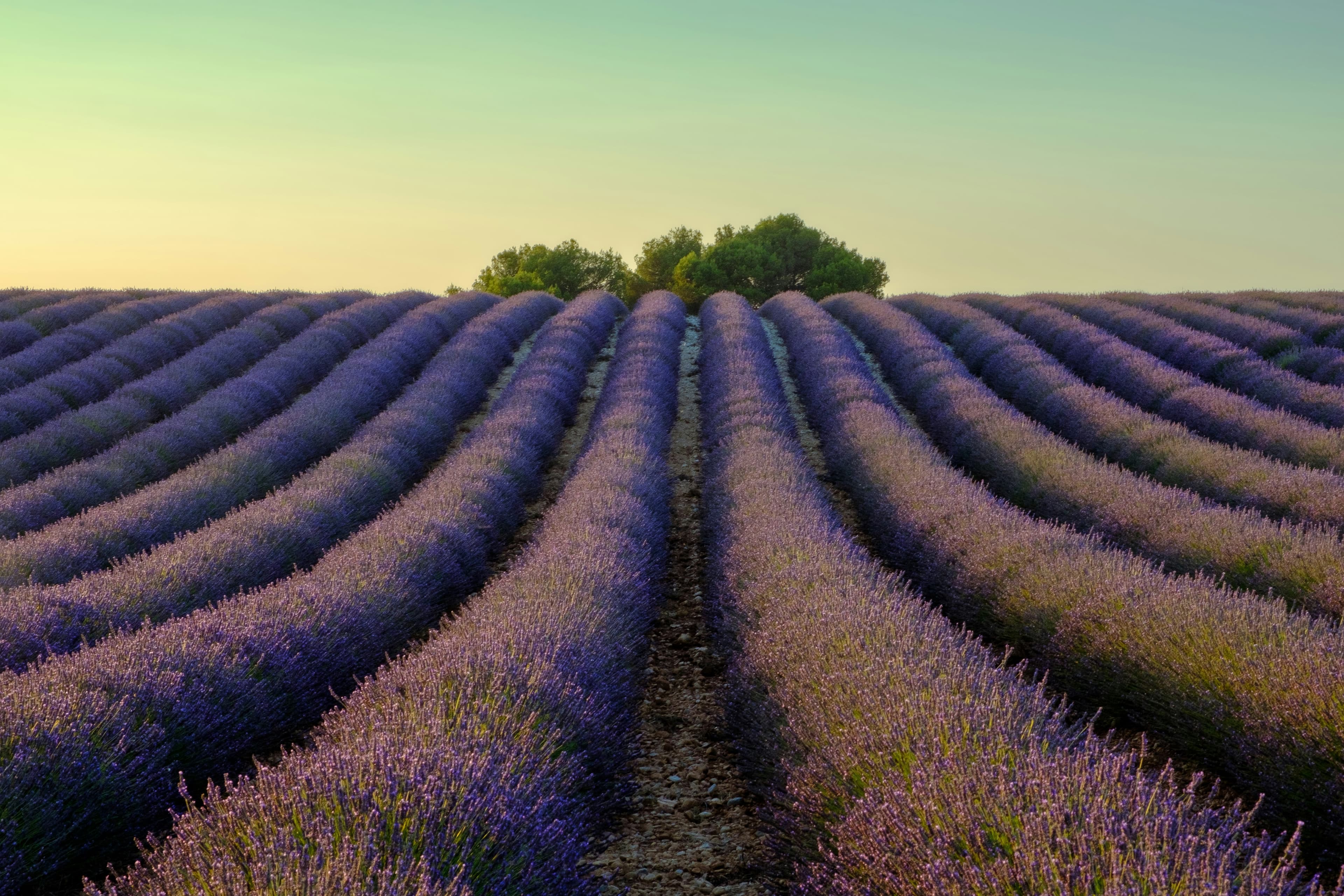 Piscine provençale au coucher du soleil
